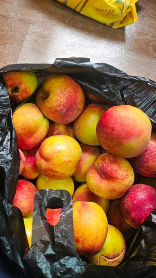 김호영님의 복숭아 · 영농일지 작성글 사진