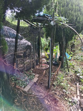 우철님의 기타작물 · 영농일지 작성글 사진