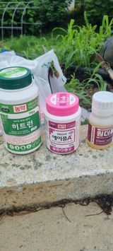 팜모닝 사과·영농일지 게시글 이미지