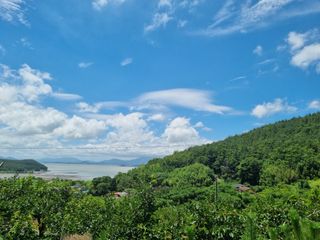 해풍맞은 맛있는 감님의 감 · 영농일지 작성글 사진
