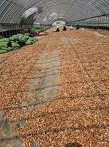 팜모닝 파·영농일지 게시글 이미지