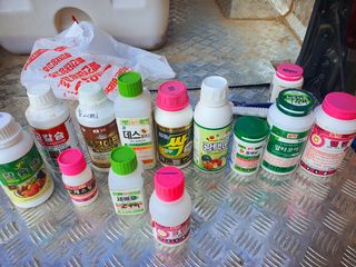 오이8898황산면님의 고추 · 영농일지 작성글 사진