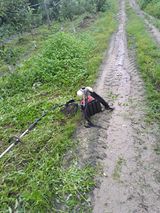 팜모닝 사과·영농일지 게시글 이미지