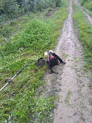 능금아저씨님의 사과 · 영농일지 작성글 사진