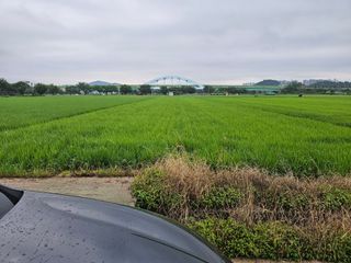 장정규님의 복숭아 · 영농일지 작성글 사진