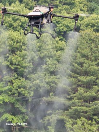 gigibae111님의 고추 · 영농일지 작성글 사진