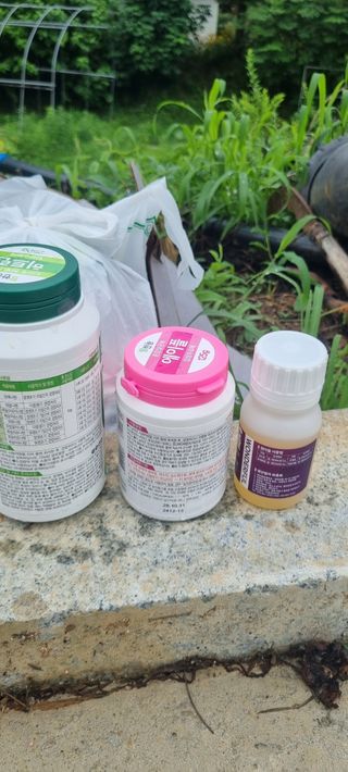 김은희님의 사과 · 영농일지 작성글 사진