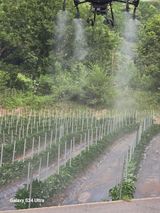 팜모닝 고추·영농일지 게시글 이미지