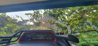 박상중님의 배 · 영농일지 작성글 사진