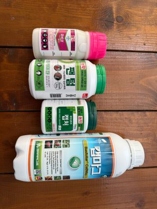 이선민(호뜨락)님의 포도 · 영농일지 작성글 사진