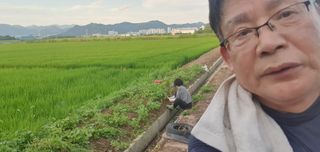김광신님의 벼 · 영농일지 작성글 사진