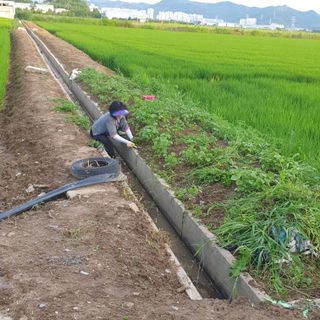 김광신님의 벼 · 영농일지 작성글 사진