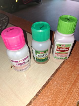 서태수님의 고추 · 영농일지 작성글 사진