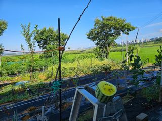 보리수치유농장님의 기타작물 · 영농일지 작성글 사진