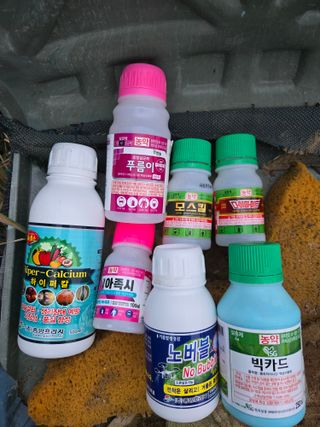 김진수님의 기타작물 · 영농일지 작성글 사진