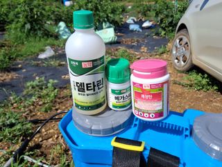 신안백수님의 기타작물 · 영농일지 작성글 사진