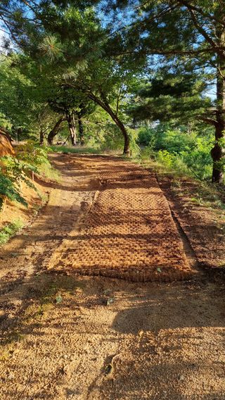 권혁렬님의 두릅 · 영농일지 작성글 사진