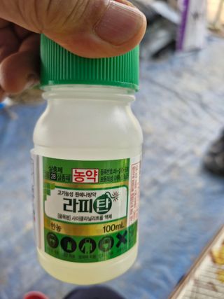 영평골님의 복숭아 · 영농일지 작성글 사진