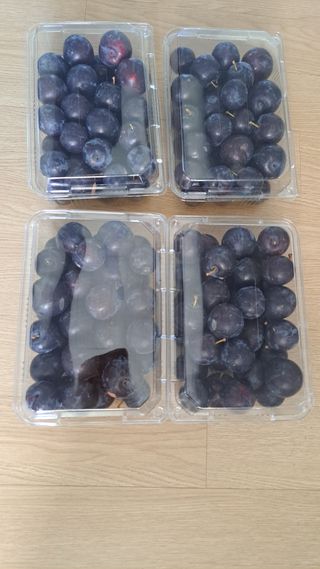 주윤발이님의 자두 · 영농일지 작성글 사진