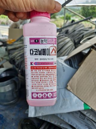 영평골님의 복숭아 · 영농일지 작성글 사진