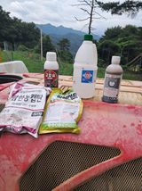 팜모닝 사과·영농일지 게시글 이미지