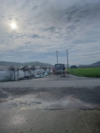 이규현님의 기타작물 · 영농일지 작성글 사진