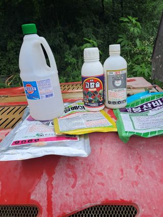 양배추20804님의 사과 · 영농일지 작성글 사진