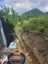 팜모닝 오이·영농일지 게시글 이미지