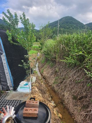 김진영님님의 오이 · 영농일지 작성글 사진