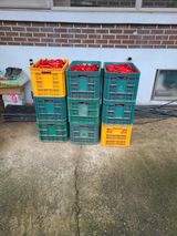 팜모닝 참깨·영농일지 게시글 이미지