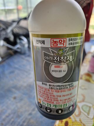 영평골님의 복숭아 · 영농일지 작성글 사진