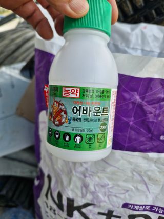 영평골님의 복숭아 · 영농일지 작성글 사진