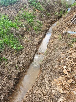 김진영님님의 오이 · 영농일지 작성글 사진