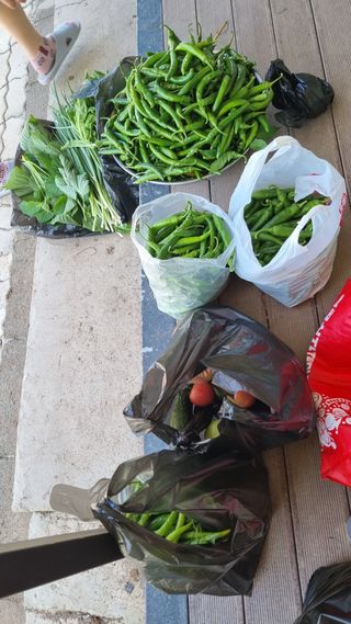 의성촌놈님의 기타작물 · 영농일지 작성글 사진