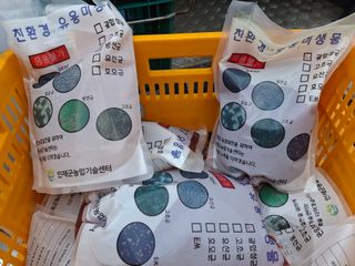 황인근님의 블루베리 · 영농일지 작성글 사진