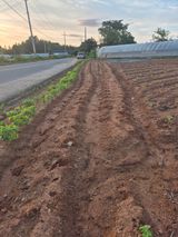 팜모닝 콩·영농일지 게시글 이미지