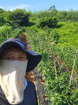 정의영님의 기타작물 · 영농일지 작성글 사진