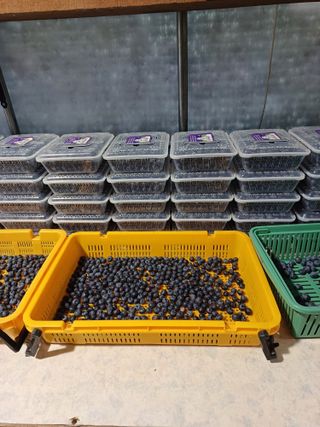 김숙희님의 기타작물 · 영농일지 작성글 사진