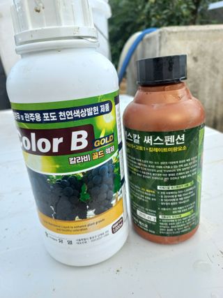 전진님의 포도 · 영농일지 작성글 사진