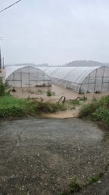 팜모닝 기타작물·영농일지 게시글 이미지