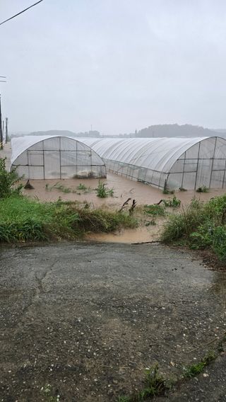 고철규님의 기타작물 · 영농일지 작성글 사진