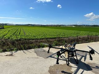 오성균님의 콩 · 영농일지 작성글 사진