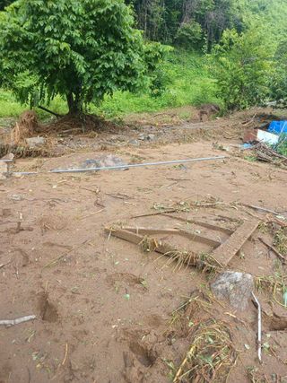 유경규 님의 기타작물 · 영농일지 작성글 사진