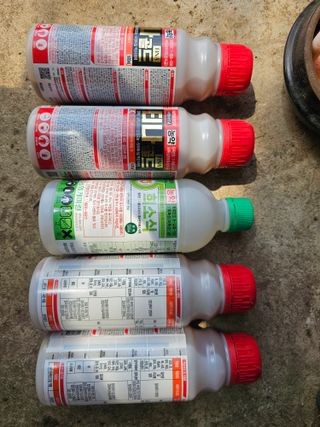 모래알님의 귤 · 영농일지 작성글 사진