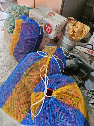 백호순(후추)님의 고추 · 영농일지 작성글 사진