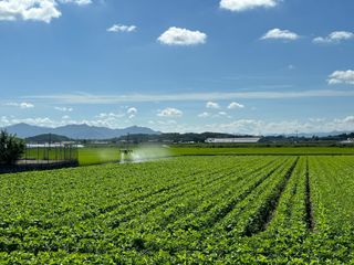 오성균님의 콩 · 영농일지 작성글 사진