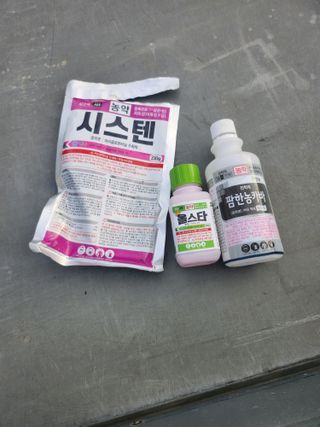 조재홍님의 작성글 사진