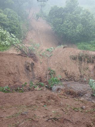 유경규 님의 기타작물 · 영농일지 작성글 사진
