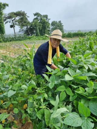 두더지두더지님의 기타작물 · 영농일지 작성글 사진