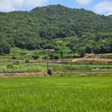 팜모닝 기타작물·영농일지 게시글 이미지